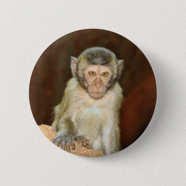 macaque 2 inch round button (Front)