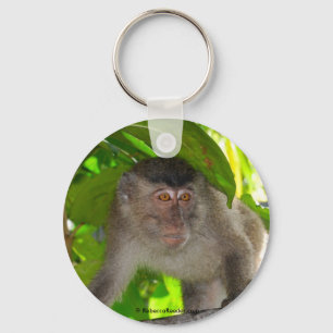 Macaque Monkey in rainforest Keychain