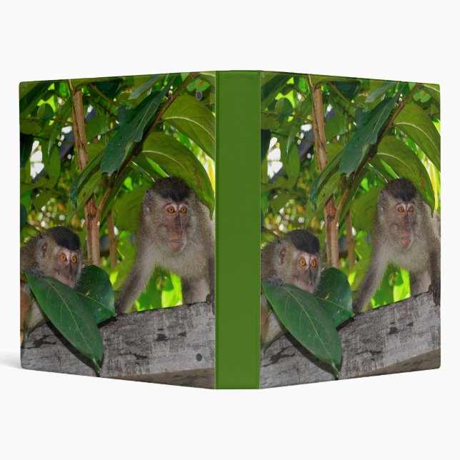 Macaque Monkeys in Rainforest 3 ring Binder (Background)