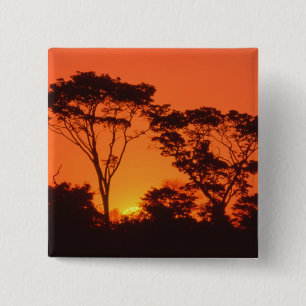 Macaron Carré 5 Cm Afrique du Sud. Coucher de soleil africain.