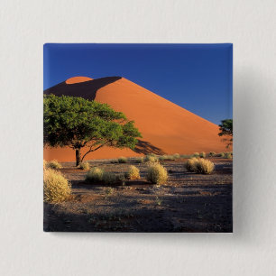 Macaron Carré 5 Cm Afrique, Namibie, Parc Namib-Naukluff, Sossosvlei