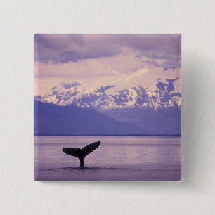 Macaron Carré 5 Cm Amérique du Nord, États-Unis, Alaska, Passage inté