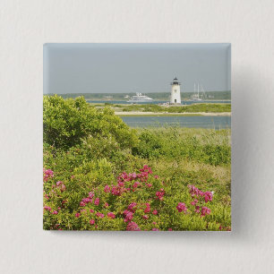 Macaron Carré 5 Cm Amérique du Nord, États-Unis, Massachusetts, Mar