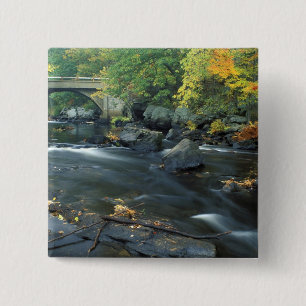 Macaron Carré 5 Cm Amérique du Nord, États-Unis, NH, Le pont à Packer