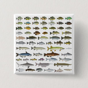 Macaron Carré 5 Cm Amérique du Nord Groupe de poissons d'eau douce