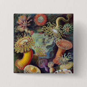 Macaron Carré 5 Cm Anémone de mer Nature scientifique Océan