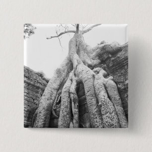 Macaron Carré 5 Cm Angkor Cambodge, Arbre Ta Prohm