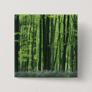 Macaron Carré 5 Cm Angleterre, forêt de hêtres et Bluebells