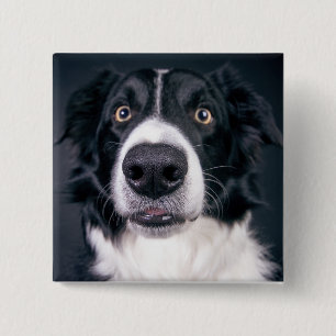Macaron Carré 5 Cm Animal photo de chien personnalisé