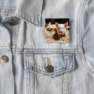 Macaron Carré 5 Cm Animaux de bébés cutest Piglet bébé mignon