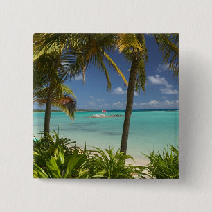 Macaron Carré 5 Cm Antilles françaises, Guadaloupe, Grande Terre, 2