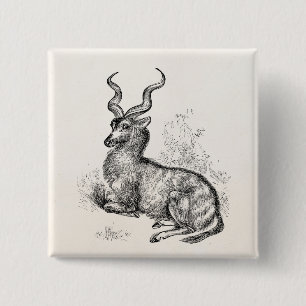Macaron Carré 5 Cm Antilope bouclée vintage de gazelle de klaxon