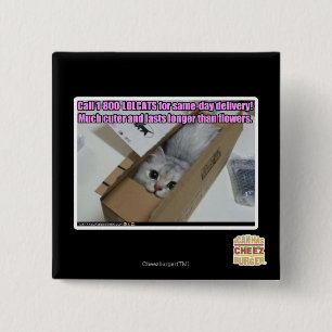 Macaron Carré 5 Cm Appel 1-800-LOLCATS