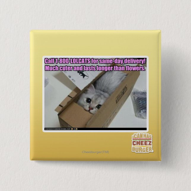Macaron Carré 5 Cm Appel 1-800-LOLCATS (Devant)