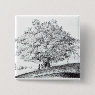 Macaron Carré 5 Cm Arbre creux chez Hampstead, 1663