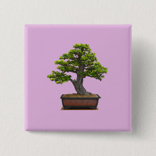Macaron Carré 5 Cm arbre de bonsaïs