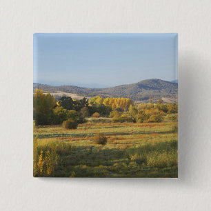 Macaron Carré 5 Cm Arbres d'automne, Khancoban, Montagnes de neige, N