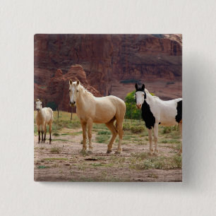 Macaron Carré 5 Cm Arizona, Navajo réserve indienne, Chinle,