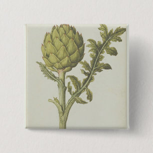 Macaron Carré 5 Cm Artichaut : Scolymus de Cynara, c.1568