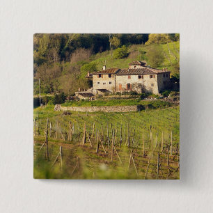 Macaron Carré 5 Cm Aschuito, une ferme qui accueille les clients,