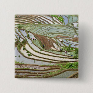 Macaron Carré 5 Cm Asie, Chine, Yunnan, Jinping. Personnalité autocht