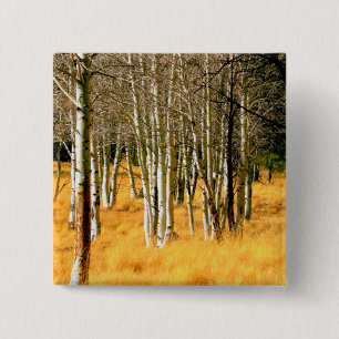 Macaron Carré 5 Cm aspen woods button