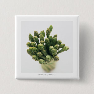 Macaron Carré 5 Cm Asperges vertes