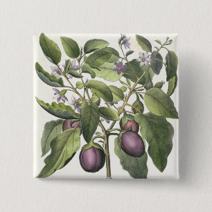 Macaron Carré 5 Cm Aubergine : Pallido de fructu de Melanzana, du