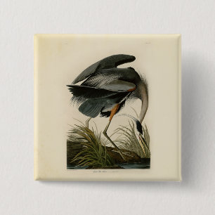 Macaron Carré 5 Cm Audubon Great Blue Heron Marsh Bird