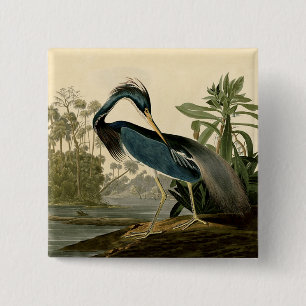 Macaron Carré 5 Cm Audubon Louisiana Heron Birds America Art