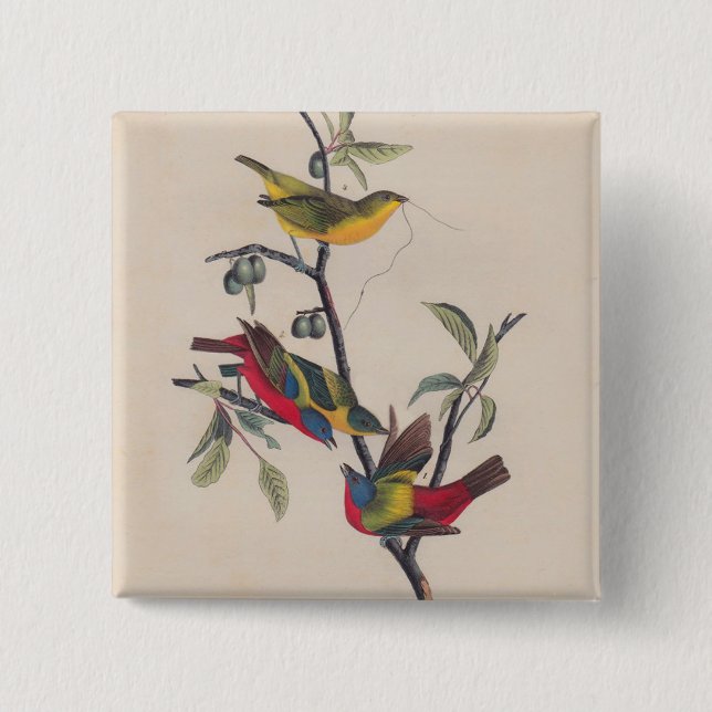 Macaron Carré 5 Cm Audubon Peint Bunting Bird Wildlife (Devant)