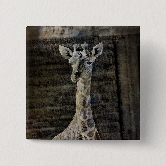 Macaron Carré 5 Cm Baby Giraffe (Devant)