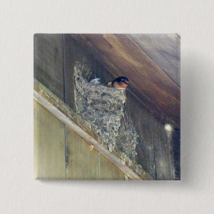 Macaron Carré 5 Cm Barn Swallow Series