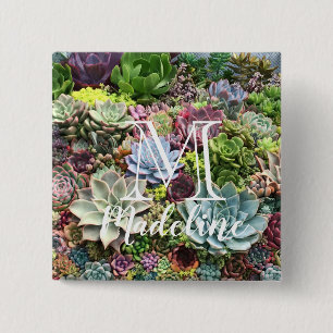 Macaron Carré 5 Cm Beaux succulents