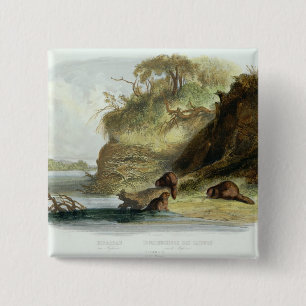 Macaron Carré 5 Cm Beaver la hutte sur le Missouri, plaquez 17 du