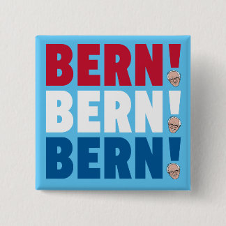 Macaron Carré 5 Cm Berne Berne Bern Bernie Sanders