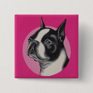 Macaron Carré 5 Cm Boston terrier