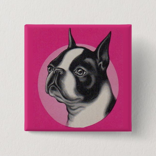 Macaron Carré 5 Cm Boston terrier (Devant)