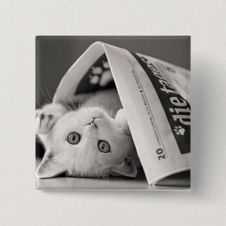 Macaron Carré 5 Cm Botton Cat