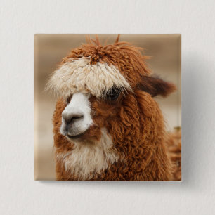 Macaron Carré 5 Cm Bouton Alpaca