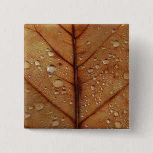 Macaron Carré 5 Cm Bouton Automne