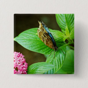 Macaron Carré 5 Cm Bouton bleu Morpho 143