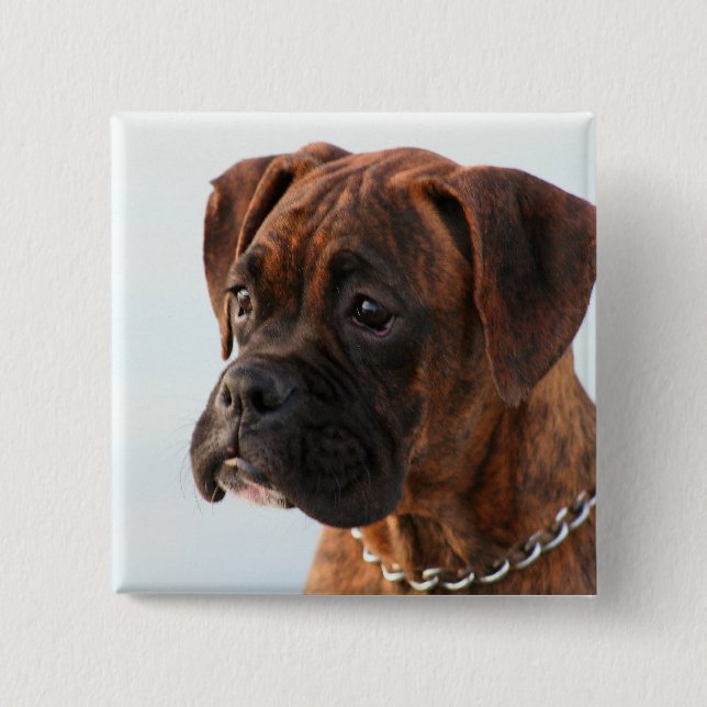 Macaron Carré 5 Cm Bouton Brindle de chiot de boxeur (Devant)