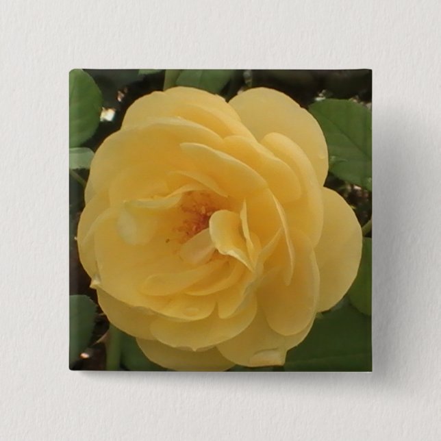 Macaron Carré 5 Cm Bouton Camellia Jaune (Devant)