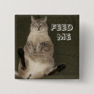 Macaron Carré 5 Cm Bouton Carré de chat "FEED ME"