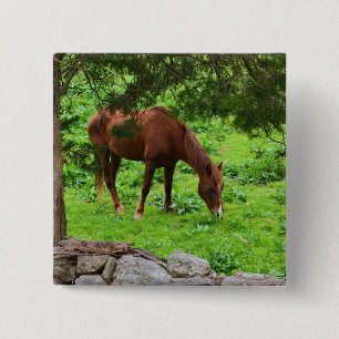 Macaron Carré 5 Cm Bouton Cheval