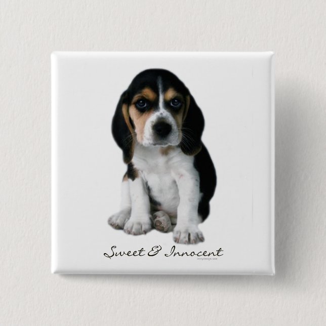 Macaron Carré 5 Cm Bouton Chien Chien beagle (Devant)