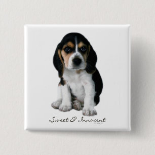 Macaron Carré 5 Cm Bouton Chien Chien beagle