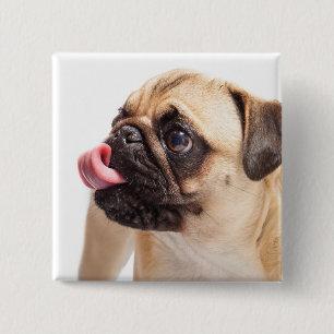 Macaron Carré 5 Cm Bouton Chien mignon 1