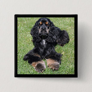 Macaron Carré 5 Cm Bouton Cocker Spaniel
